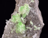 6.6cms AUGELITE CRYSTAL PERU Dark Green Bright Needle Quartz Pasto Bueno Rare Gemstone Facet Grade A642