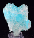 8.6cms NATURAL BLUE SALAMMONIAC Lecontite Botryoidal Crystals Chile Turquoise Color Rare Aesthetic Mineral Specimen U629
