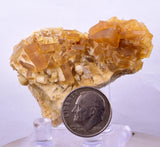 5.4cm GOLDEN BARITE CRYSTALS Eagle Mine Colorado Usa Translucent Mineral Specimen F468
