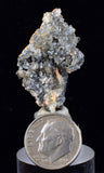 3.4cms CERUSSITE BARITE GALENA Crystals Morocco Mineral Specimen K101
