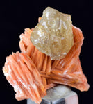 2.8cms CERUSSITE BARITE Crystals Morocco Mineral Specimen K104