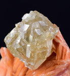 2.8cms CERUSSITE BARITE Crystals Morocco Mineral Specimen K104