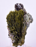 8cms AXINITE QUARTZ CRYSTALS Epidote Cluster Garnet Peru Mineral Specimen Collectors A645