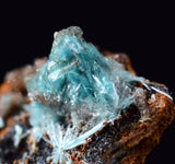 1.7cms AURICALCITE CALCITE CRYSTALS Durango Mexico Mineral Specimen W63