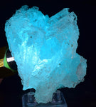 8.6cms NATURAL BLUE SALAMMONIAC Lecontite Botryoidal Crystals Chile Turquoise Color Rare Aesthetic Mineral Specimen U629