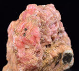 7cms RHODOCHROSITE RHOMBOHEDRAL Crystals Peru Collector Mineral Specimen R782