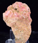 7cms RHODOCHROSITE RHOMBOHEDRAL Crystals Peru Collector Mineral Specimen R782
