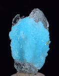 4.5cms NATURAL BLUE SALAMMONIAC Lecontite Botryoidal Crystals Chile Turquoise Color Rare Aesthetic Mineral Specimen U648
