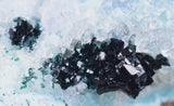 17cms CLINOATACAMITE QUARTZ ATACAMITE Lily Mine Druzy Atacamite Malachite Crystal Mineral Specimen AB50