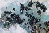 17cms CLINOATACAMITE QUARTZ ATACAMITE Lily Mine Druzy Atacamite Malachite Crystal Mineral Specimen AB50