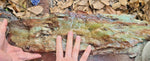 25Kilogramas BLUE OPAL ROUGH Peru Scenic Quality Jewelry Collector