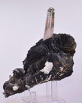11cms HEMATITE ROSETTES QUARTZ Crystals Jinlong Hill China Mineral Specimen XB30