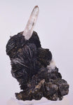 11cms HEMATITE ROSETTES QUARTZ Crystals Jinlong Hill China Mineral Specimen XB30
