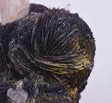 11cms HEMATITE ROSETTES QUARTZ Crystals Jinlong Hill China Mineral Specimen XB30