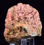 7cms RHODOCHROSITE RHOMBOHEDRAL Crystals Peru Collector Mineral Specimen R782