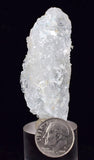 5.5cms NATURAL Lecontite Botryoidal Crystals Chile Turquoise Color Rare Aesthetic Mineral Specimen U651