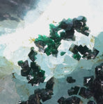 17cms CLINOATACAMITE QUARTZ ATACAMITE Lily Mine Druzy Atacamite Malachite Crystal Mineral Specimen AB50