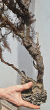 93cms GIANT GOLDEN BLACK Coral Peru Natural Branch Sea Genuine for Pendant Beads Jewelry Cabochon