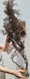 93cms GIANT GOLDEN BLACK Coral Peru Natural Branch Sea Genuine for Pendant Beads Jewelry Cabochon