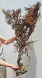 93cms GIANT GOLDEN BLACK Coral Peru Natural Branch Sea Genuine for Pendant Beads Jewelry Cabochon