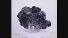 Load and play video in Gallery viewer, 17cm SPHALERITE MARCASITE BLADES PYRITE CHALCOPYRYTE  PERU CRYSTAL
