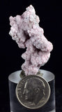 LOT 10 RHODOCHROSITE ROSETTE PERU PINK CRYSTALS HUANZALA MINE MINERAL RB543