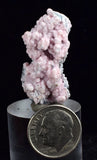 LOT 10 RHODOCHROSITE ROSETTE PERU PINK CRYSTALS HUANZALA MINE MINERAL RB543