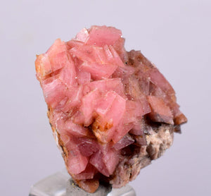 2.3 cms RHODOCHROSITE RHOMBOHEDRAL CRYSTAL MANUELITA PERU MINERAL SPECIMEN x4