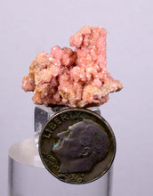 Load image into Gallery viewer, 2.3 cms RHODOCHROSITE RHOMBOHEDRAL MANUELITA PERU MINERAL SPECIMEN x5
