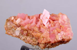 3.2 cms RHODOCHROSITE RHOMBOHEDRAL MANUELITA PERU MINERAL SPECIMEN x7