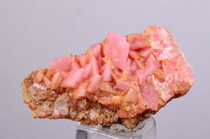 3.2 cms RHODOCHROSITE RHOMBOHEDRAL MANUELITA PERU MINERAL SPECIMEN x7