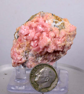 4.5cms RHODOCHROSITE RHOMBOHEDRAL MANUELITA PERU MINERAL SPECIMEN x8