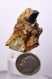3.6cms VIVIANITE CRYSTAL BLUISH GREEN BOLIVIA PYRITE MINERAL SPECIMEN X24