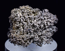 Load image into Gallery viewer, 2.4cms NATIVE SILVER WIRES ACANTHITE PROUSTITE CRYSTALS MINERAL SPECIMEN X34
