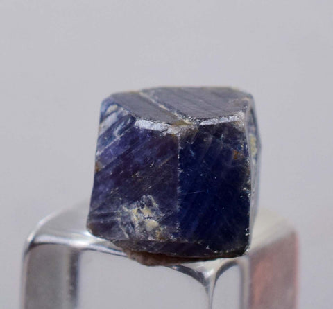 8cts SAPHIRE CRYSTAL NATURAL ROUGH BLUE TANZANIA MINERAL SPECIMEN X56
