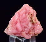 2.9 cms RHODOCHROSITE RHOMBOHEDRAL CRYSTAL MANUELITA PERU MINERAL SPECIMEN x61