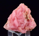 2.9 cms RHODOCHROSITE RHOMBOHEDRAL CRYSTAL MANUELITA PERU MINERAL SPECIMEN x61
