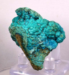 4.7cm CHRYSOCOLLA MALACHITE BROCHANTHITE AZURITE ROUGH BANDED  PERU MINERAL SPECIMEN X68