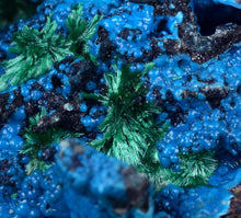 Load image into Gallery viewer, 6.2cm CHRYSOCOLLA MALACHITE BROCHANTHITE AZURITE ROUGH BANDED  PERU MINERAL SPECIMEN X70
