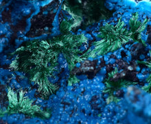 Load image into Gallery viewer, 6.2cm CHRYSOCOLLA MALACHITE BROCHANTHITE AZURITE ROUGH BANDED  PERU MINERAL SPECIMEN X70
