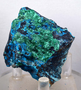 6.2cm CHRYSOCOLLA MALACHITE BROCHANTHITE AZURITE ROUGH BANDED  PERU MINERAL SPECIMEN X71