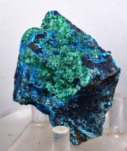 6.2cm CHRYSOCOLLA MALACHITE BROCHANTHITE AZURITE ROUGH BANDED  PERU MINERAL SPECIMEN X71