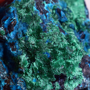 6.2cm CHRYSOCOLLA MALACHITE BROCHANTHITE AZURITE ROUGH BANDED  PERU MINERAL SPECIMEN X71