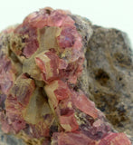 4cms GEM RHODOCHROSITE MANGANITE CRYSTALS UCHUCCHACUA MINERAL SPECIMEN R562