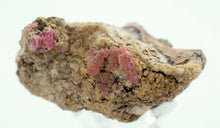 Load image into Gallery viewer, 6cms GEM RHODOCHROSITE MANGANITE CRYSTALS UCHUCCHACUA MINERAL SPECIMEN R561
