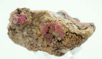 6cms GEM RHODOCHROSITE MANGANITE CRYSTALS UCHUCCHACUA MINERAL SPECIMEN R561