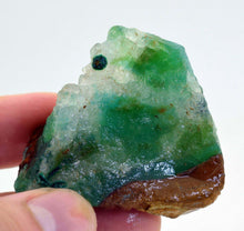 Load image into Gallery viewer, 48.9grs GEM SILICA CHRYSOCOLLA ROUGH CHALCEDONY EMERALD JADE COLOR NEW FIND S903
